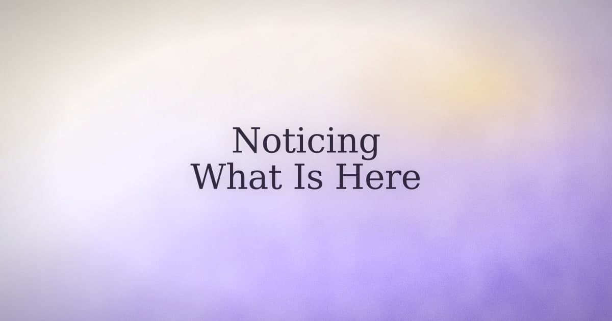 Self-Awareness Meditation: A Concrete Practice for Ordinary Days